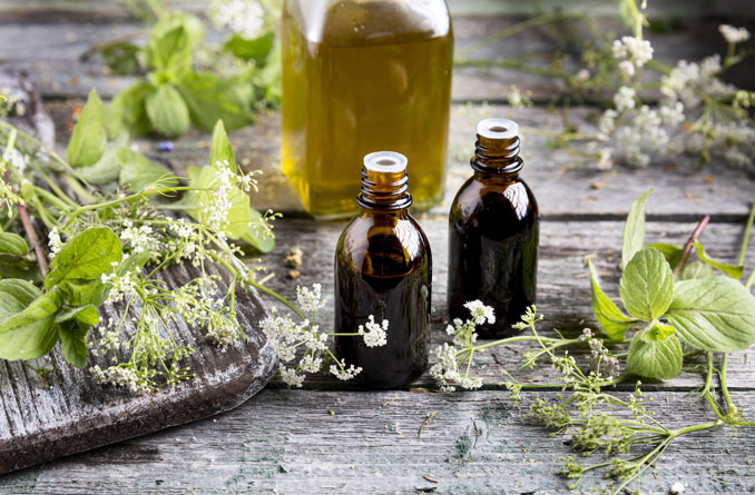 Aceite de oregano